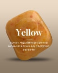 마닐마닐 수제간식 비타민스튜 반려견 야채 과일 토핑 화식 토퍼 : 마닐마닐 수제간식