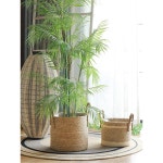 북유럽 라탄화분바구니 라탄 도 5X9CM 꽃병 한 커버 사각 1 작은 플라스틱 대중소 삼계 로 높이 화분 없는 사이즈 1 로 한 도 없는 작은 사이즈... 