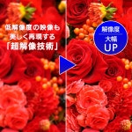 [Amazon.co.jp IODATA 23.8 FHD 1080p ADS 5ms EX-LDH241DB-B 한정] 아이 오 데이터 모니터 인치 패널 : Velvet Sky