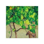 나의 숲, 신제이 작가 : 퍼블릭 갤러리