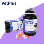 [벳플러스] 케나인 시스테이드 120캡슐(4개월 분량) - 방광염 비뇨기질환 : 멍냥카페