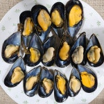 싱싱한 남해안 자연산 섭 돌 홍합 담치 피홍합 : 신선바다네