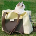 반려동물 가방 고양이외출 애견가방 고양이이동가방 강아지여행 강아지이동장 : 동이샵