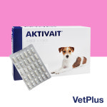[벳플러스] 액티베이트 소형견 (10Kg 이하), 60캡슐, 1개 : 예쁘개냥