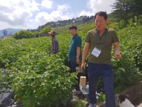 지리산들꽃다물농장 냉동 블랙커런트 생과 국산 직접재배 (냉동배송) 700g 2팩 : 지리산들꽃다물농장