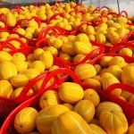 성주참외 3kg 5kg 못난이 꼬마참외 랜덤과 가정용 흠집과 성주부라더 : 청년농부성주부라더