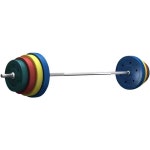 이지컬바 바벨봉 역기 ez바 헬스 스쿼트 경량 홈짐 : 더더직구대행