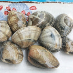 연안 바지락 1kg : 상어 마트