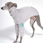 [Clearance] 엔지니어드 터틀넥 스웨터 그레이 이탈리안그레이하운드옷 아이쥐옷 : MARX PLAY