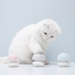 그루밍 강아지 고양이 마사지 청소 펫용품 털빼기 털제거 캣털 해파리 캣바늘빗 핑크 : 유니버스픽업