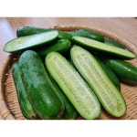 대구 미니오이 스낵오이 미니스탑 미니스톱 1kg, 1개 : 이모네식탁