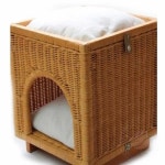 새임 등나무 큐브 캣하우스 허니 고양이집 냥이집 : 새임 스토어