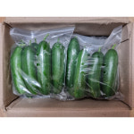 대구 미니오이 스낵오이 미니스탑 미니스톱 1kg, 1개 : 이모네식탁