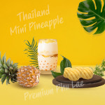 [봄맞이]태국 직수입 프리미엄고당도 치앙라이푸레 미니파인애플푸레바70g : 태경농장공식몰