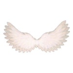 대형 천사 날개 할로윈 공연 촬영 무대 장식 깃털 A-80x45cm : 지구라이프