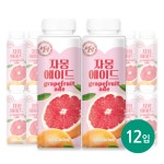 서울에프엔비 설빙 자몽에이드 250mL X 12입 : 서울스토어365