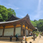 백두대간 협곡열차 부석사 선암마을 한반도지형 당일 기차여행 : 스타투어