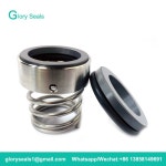 551B-14/16/18/20/22/24/25/28/30/32/33/35/38 G4 시트가 있는 기계적 씰 BT-RN,VUL-CAN 유형 12,ROTE-N R2,U2,AES-SEA : 바이셀써리원