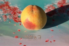 이언농장 황월(가정용, 농장패키지) : 이언농장