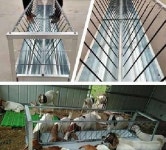 염소먹이통 양 목장 염소 식수 급여기 사료 밥통 여물 대형 1m x 0.65m x 0.85m(마을) : 얌얌마트얌