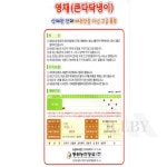 이비 영채 큰다닥냉이 씨앗 종자씨 영채씨 주말농장 : 이비스마트