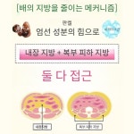 일본 판클 복부지방 체중 조절 서포트 내장지방 감소 다이어트 3개(총 90회분) : 소노마루