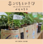 5개 꾸미기 단체  친환경 수업 원예 씨앗 행사 어린이 행사 봄 식목일  키우기 그림 화분 : 금문상회