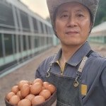 난각번호1번계란 초란 NonGMO 자연방사 무항생제 유정란 가자팜스 자가사료 20구 30구 40구 60구 : 가자팜스