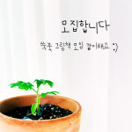 [책모임] 주제가 있는 그림책 모임 : 책방 쑥