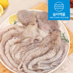 탱글한 국내산 낙지 냉동낙지 왕 뻘낙지 1kg : 숨비해물