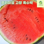 푸른마을 고창 왕 흑수박 프리미엄 10kg, 1개 : 푸른마을농수산
