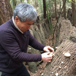 200g 친환경 유기농자연산 참나무원목 노지재배 말린 건표고 장흥 흑화고 표고버섯 슬라이스 : 정남진표고돌이