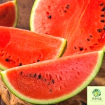 푸른마을 고창 왕 흑수박 프리미엄 10kg, 1개 : 푸른마을농수산