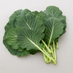 친환경 산지 유기농케일 웰빙 쌈케일 2kg 무농약이상 채소 : 하늘농부유기농