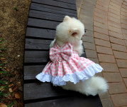 강아지하네스  귀여운체크 화이트프릴 가벼운 원피스하네스 달콤하개 : 펫 아이