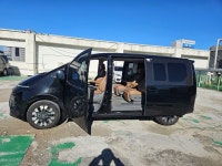 [서울/평일] 22년식 스타리아 디젤 렌트 7인승 자차 : 몬스터렌터카