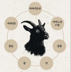 보령 흑염소 진액 골드 70ml x 28포 기력회복 국내산 : 조이앤온잇