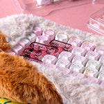 Soulcat 고함량 PBT 염료승화 + PC 영문 키캡 169키 (쫑긋 고양이 이모지) : spm