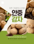 포슬포슬맛나는 평택 안중 황토 감자 10kg[왕왕] : 주식회사엘에이치글로벌