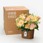 크림 샌드 바스켓 생화 택배 여자친구 생일 꽃바구니 선물 기념일 축하 : 꽃집청년들