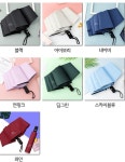 자동 패션 컬러 햇빛 차단 양우산 선물용 답례품 : 에스앤제이 SnJ