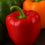 하늘농부유기농 친환경 색상별 파프리카 1kg 빨강 노랑 주황 건강세트 : 하늘농부유기농