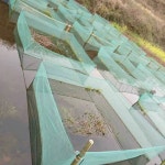 사각 프레임 모기장 침대방충망 조절 여름 화이트 암막 패밀리 스틸프레임 1인용 1 기타 사이즈 맞춤 촬영 : 샵브릿지101