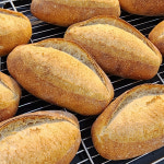 다온브레드 100% 통밀빵 플레인, 200g, 1개 : 다온브레드