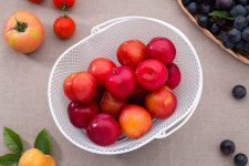 봉구장터 경북 후무사 자두 도담자두 1-3kg : 봉구장터