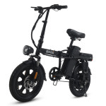 AU테크 스카닉 락스핀 48V 고출력 풀서스펜션 16인치 전동 전기자전거 : AU테크 답십리직영점