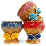 무배 행복한꽃그릇 싱싱2번 단품 중대형 다육이화분 분갈이흙 : 행복한꽃그릇