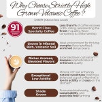 리치 로스팅 포인트 다이렉트 91 커피 소량 단일 볼드 산타 100 16온스 2014 SHG 원산지 니카라과 통콩 다크 인텐스 화산 로스트 : MAAYHO02