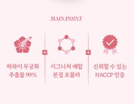 무궁화 꽃 다이어트 무궁화핏 추출물 무긍핏 60정 : 퍼스트 몰