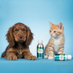 [임박제품] 뉴트롤린 강아지 고양이 논알러지 영양제 오메가3 센시티브 150ml, 1개 : 뉴트롤린 코리아